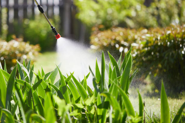 24/7 Emergency Mosquito Control experts in Lemay, MO